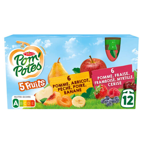 Pompote Sans sucre ajouté 5 fruits 12x90gr