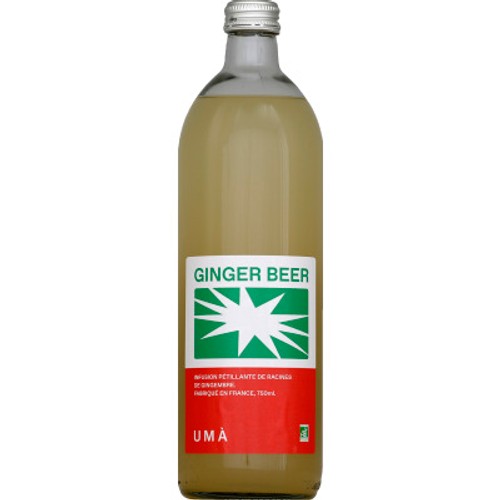 Ginger Beer Bio