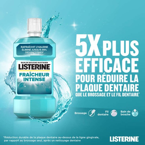 Listerine Bain de Bouche Haleine Fraiche 250ml