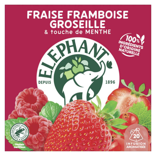Elephant Infusion Fraise Framboise Groseille & Touche Menthe x20 - 40g