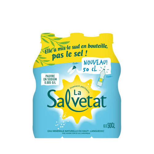 Salvetat eau minérale naturelle gazeuse 6x50cl