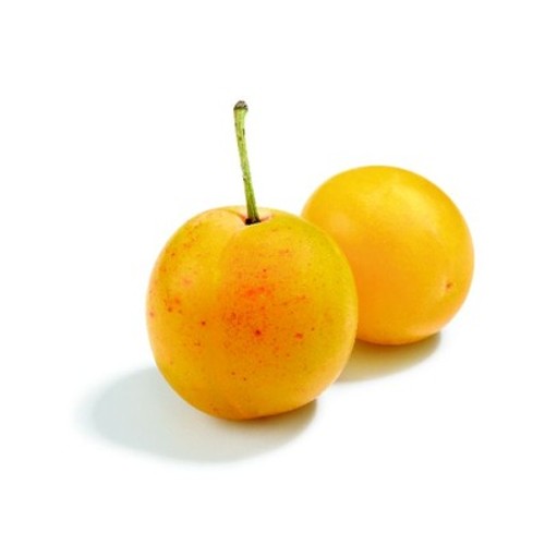 Monoprix Barquette de Prunes Mirabelle 500g