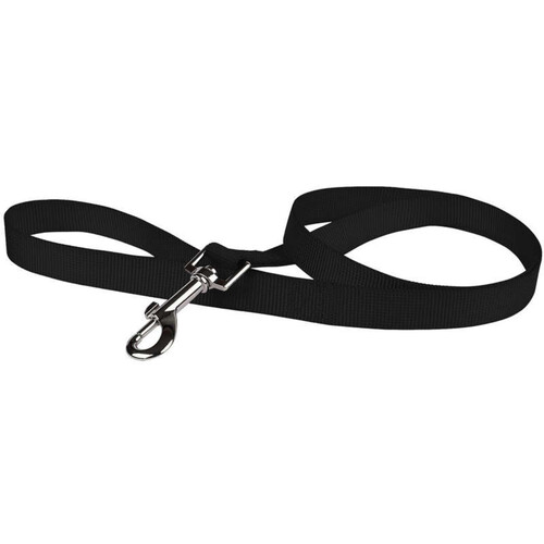 Animalis Laisse Basic 40mm et 50cm pour Chien Noir