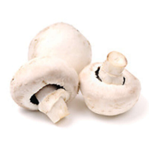 Champignon Gros Blanc 120g