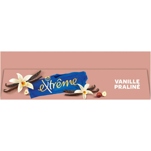 Nestlé Extrême Cônes Vanille Praliné cœur fondant Praliné 6x71g