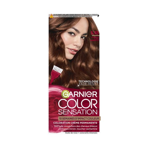 Garnier Color Sensation 5.35 Chatain clair cannelle
