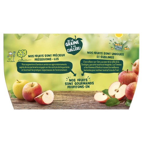 Andros Compote Pomme Fraise Pots x12 100g