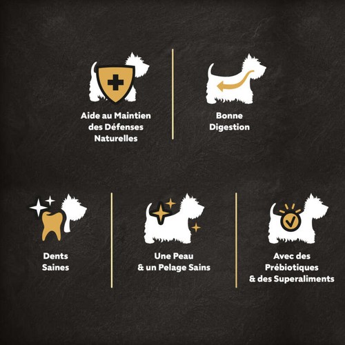 Cesar Croquettes au Poulet, au Saumon, au Riz et aux Légumes pour petit chien adulte 1,4kg