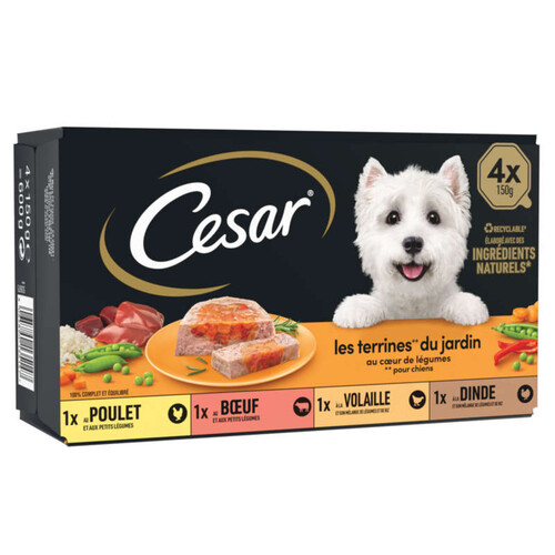 Cesar Barquettes en terrine pour chien au cœur de légumes 4x150g