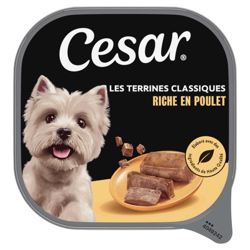 Cesar Barquette poulet en terrine pour chien 300g