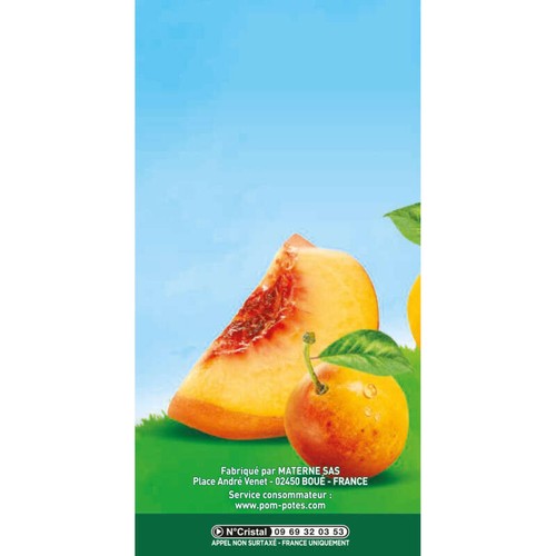 Pom'potes Compote gourdes Bio multivariétés 12x90g