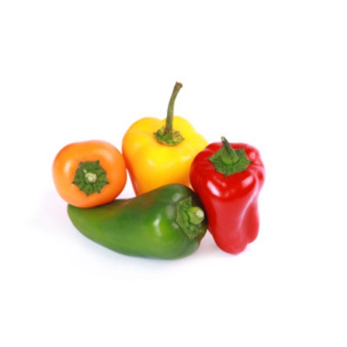 Poivrons Alongés x10 Mixte Bio 250g
