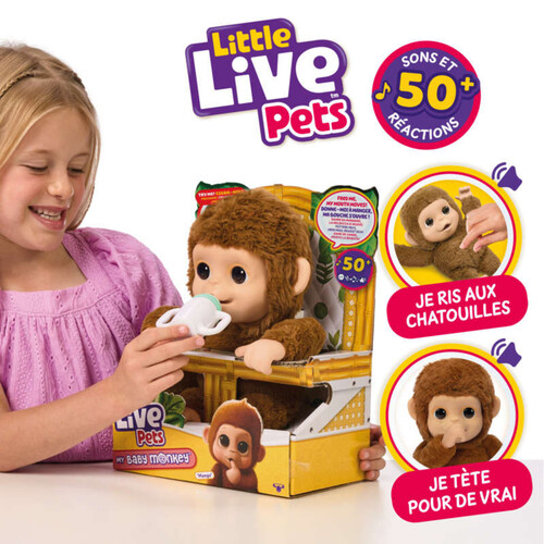 Little Live Pets Mon Bébé Singe