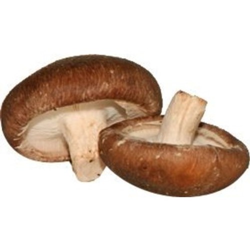 Champignon Lentin Shiitake 200g