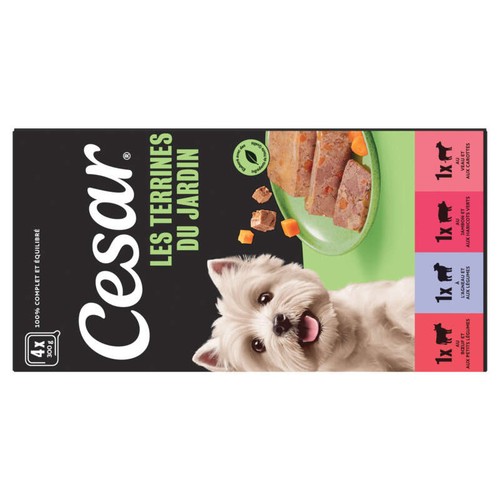Cesar Barquettes en terrine 4 variétés pour chien 4x300g