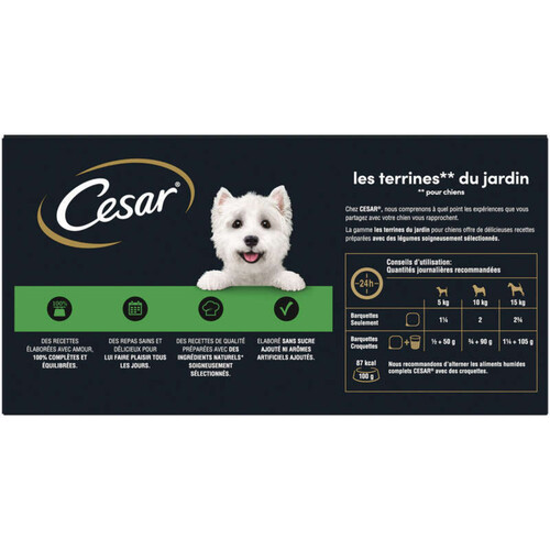 Cesar Barquettes en terrine 4 variétés pour chien 4x300g