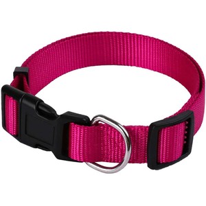 Animalis Collier Basic pour Chien 20mm 39/60cm Fuschia
