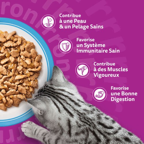 Whiskas Sachets fraîcheur Poissons en gelée pour chat adulte 24x85g