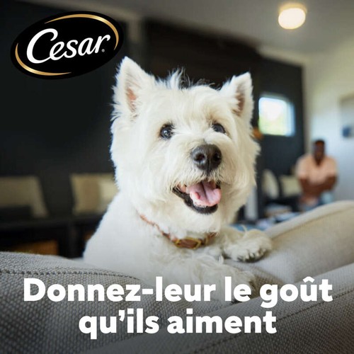 Cesar Croquettes au Bœuf, à la Volaille, aux Lentilles et aux Légumes pour petit Chien adulte 1,4kg