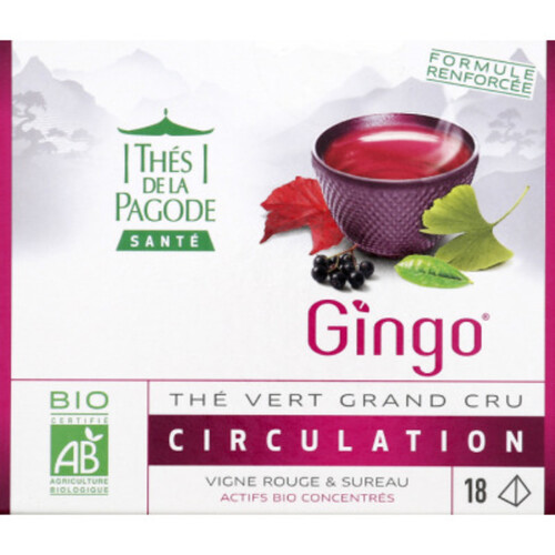 Thés de la Pagode Santé Thé Vert Gingo Circulation 36g