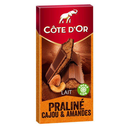Cote D'Or Chocolat Au Lait Praliné Cajou& Amandes La Tablette De 200G
