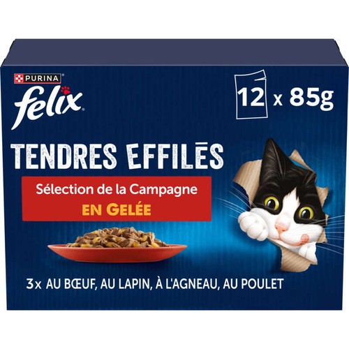 Felix Tendres Effilés En Gelée Viandes 12x85g