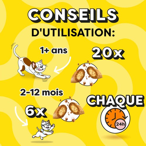 Catisfactions Friandises Au Saumon Pour Chat Et Chaton 60g