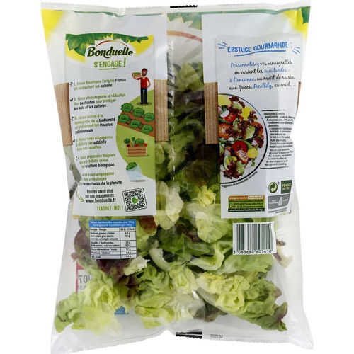 Bonduelle Feuille de chêne rouge 125g