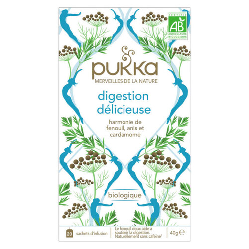 Pukka Merveilles de la nature Infusion Digestion délicieuse Bio x20