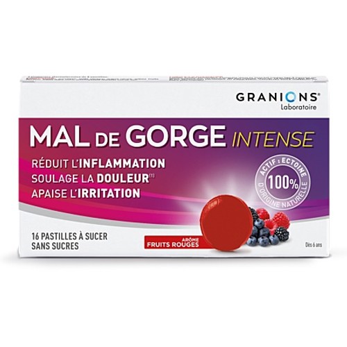 Granions Pastilles pour Mal de gorge intense x16