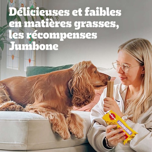 Pedigree Son Os à Macher Friandises pour chien x2 180g