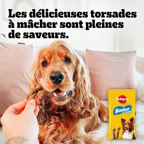 Pedigree Friandises Au Boeuf Pour Chien 70g