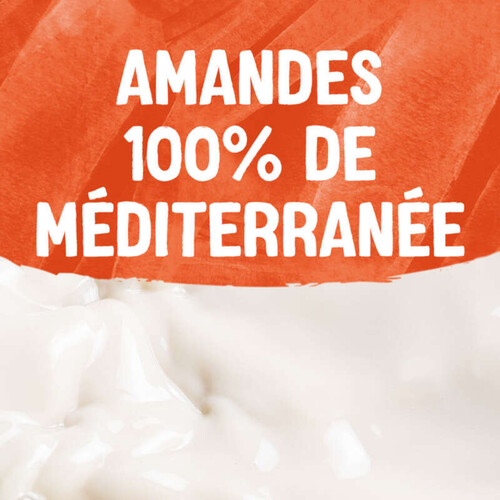 Alpro Boisson Végétale Lait D'amande Grillée Sans Sucres 1l