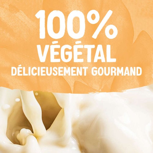 Alpro Boisson Végétale Lait D'Amande Vanille 1L
