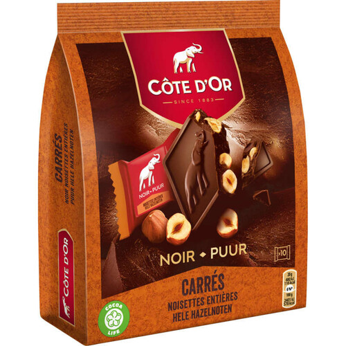 Côte d'Or Tablette Chocolat Noir Noisettes Entières 10x 20g