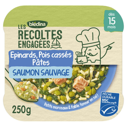 Blédina épinards, pois cassés pâtes étoiles saumon sauvage - dès 15 mois - 250g