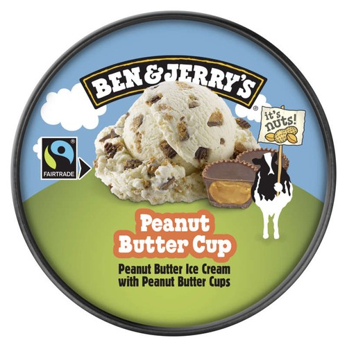 Ben & Jerry's Glace en Pot Peanut Butter Cup 425g