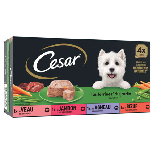 Cesar Barquettes en terrine 4 variétés pour chien 4x300g