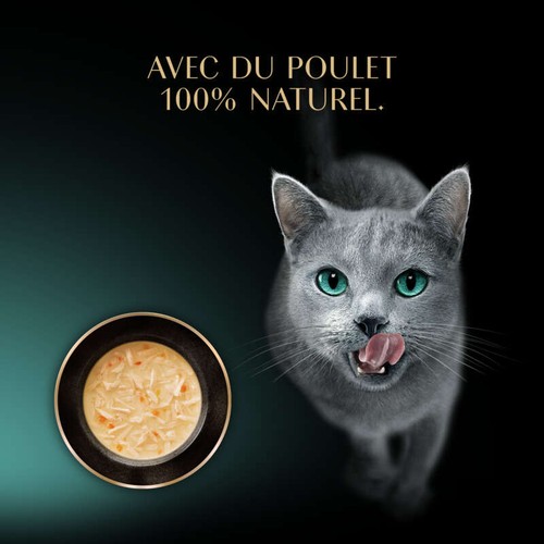 Sheba Soupe Sachets fraîcheur aux filets de Poulet pour Chat 4x40g
