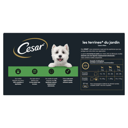 Cesar Barquettes en terrine 4 variétés pour chien 4x300g