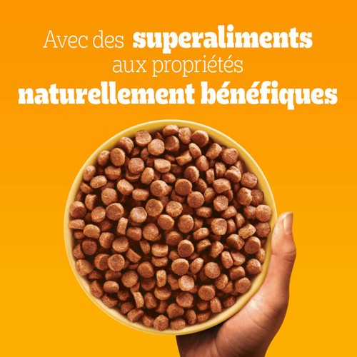 Pedigree Croquettes Volaille Chiot 3kg