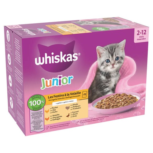 Whiskas Sachets fraîcheur les festins à la volaille en gelée pour chaton 12x85g