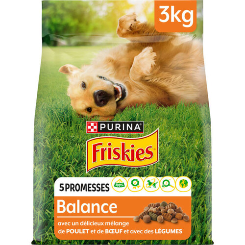 Friskies Vitafit Balance Croquettes au Poulet et Légumes ajoutés - 3 KG - Chien Adulte