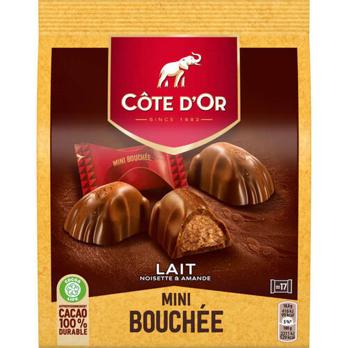 Côte d'Or Mini Bouchée Chocolat au Lait Noisettes 158g