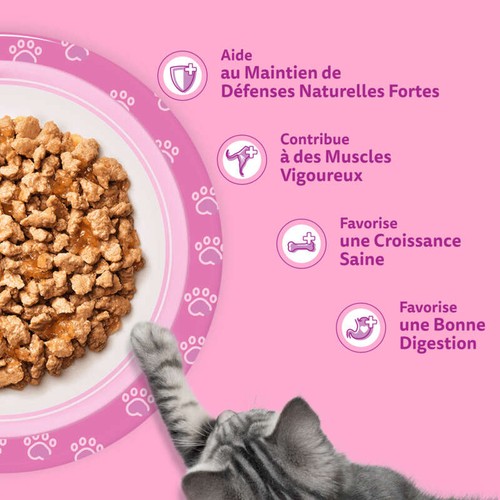 Whiskas Sachets fraîcheur les festins à la volaille en gelée pour chaton 12x85g