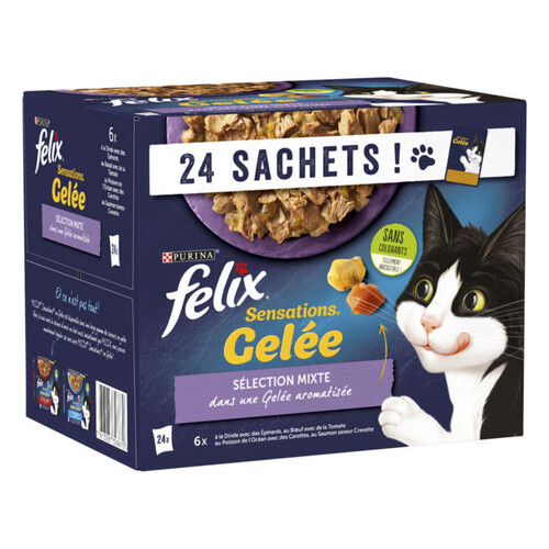 Friskies Chat Sensations aux viandes et poissons 12x85g