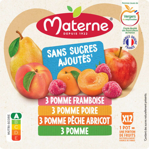 Materne Compotes Sans Sucres Ajoutés 12 x 100G