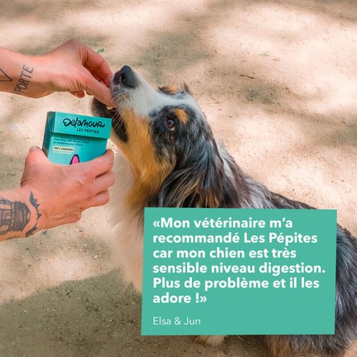 Delamour friandises pour chiens - Les Pépites Canard 75g