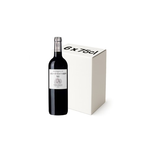 Les Demoiselles De Larrivet Haut Brion Bordeaux Pessac-Léognan A.O.P. Rouge Carton 6x75cl