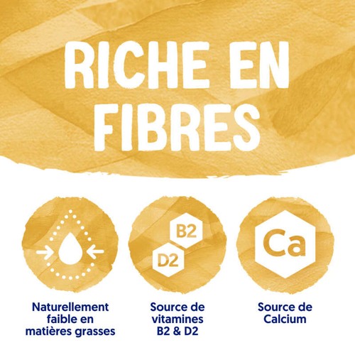 Alpro Boisson Végétale Avoine 1L